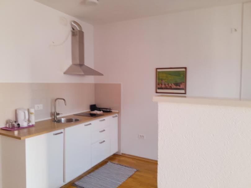 נובה גוריקה Apartma Pika 2 מראה חיצוני תמונה